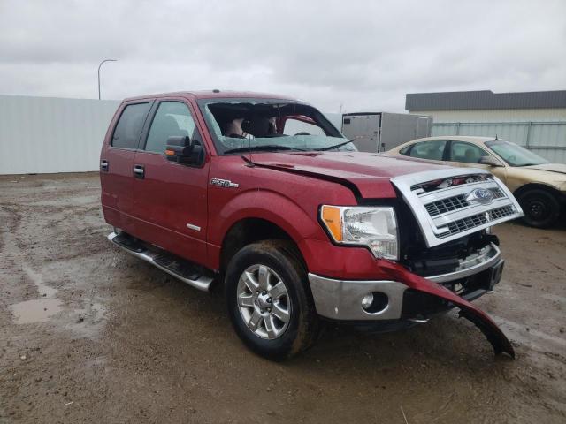 Salvage cars for sale from Copart Bismarck, ND: 2013 Ford 150