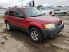 2003 FORD  ESCAPE