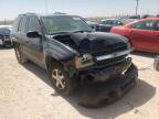 2004 CHEVROLET  TRAILBLAZER