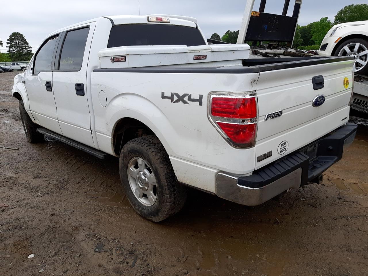 1FTFW1EF6DKF74463 2013 Ford F150 Supercrew