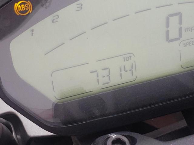 2017 DUCATI MONSTER 79 ZDMMADBM3HB000195