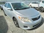 2009 TOYOTA  COROLLA