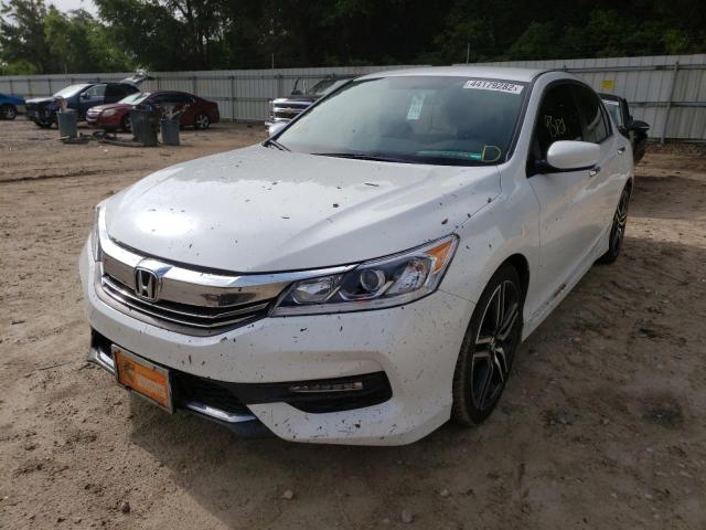 1HGCR2F54GA199562 Honda Accord Spo 2016. Фото: 1