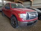 2009 FORD  F-150