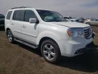 2013 HONDA  PILOT