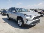 2019 TOYOTA  RAV4