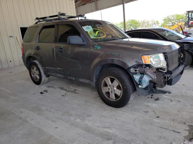 Salvage cars for sale from Copart Homestead, FL: 2009 Ford Escape XLT