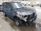 2009 FORD  ESCAPE