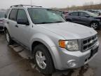 2010 FORD  ESCAPE