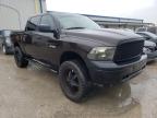 2010 Dodge Ram 1500 VIN: 1D7RB1CP7AS250864 Lot: 78412664