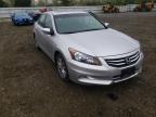 2011 HONDA  ACCORD