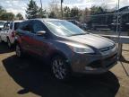 2013 FORD  ESCAPE