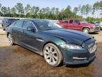 2019 JAGUAR  XJ