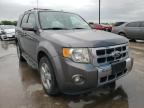 2010 FORD  ESCAPE