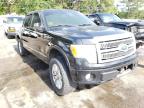 FORD F-150 2011 foto