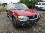 2006 FORD  ESCAPE