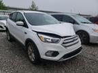 2019 FORD  ESCAPE