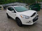 2013 FORD  ESCAPE