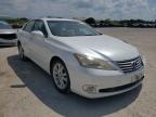 2011 LEXUS  ES350