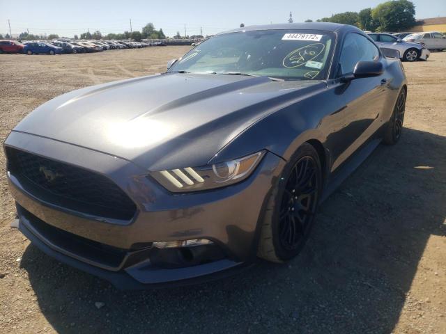 FORD MUSTANG 2015 1