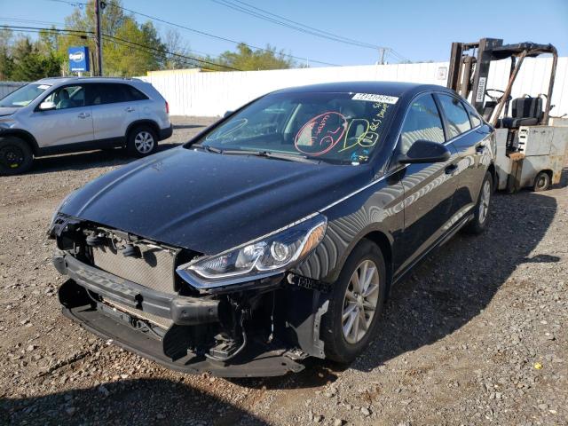 5NPE24AF2JH686363 Hyundai Sonata Se 2018. Фото: 1