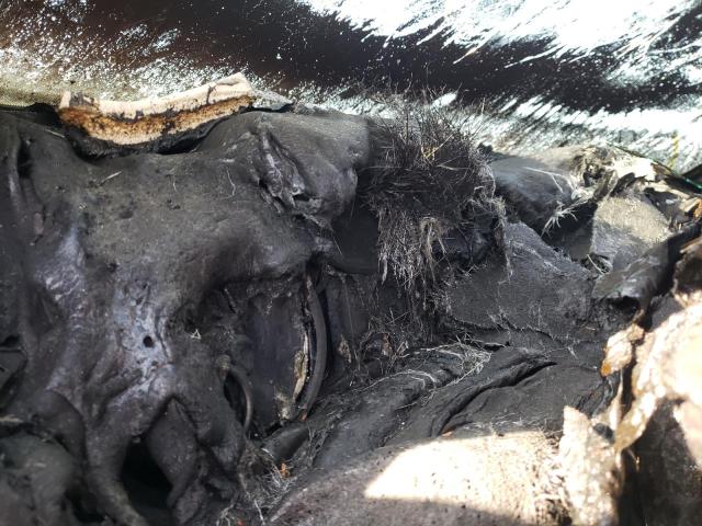 2022 RAM 1500 TRADE 1C6SRECG9NN211493