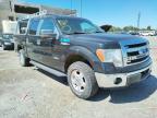 2013 FORD  F-150