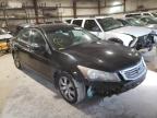 2009 HONDA  ACCORD