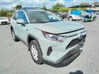 2021 TOYOTA  RAV4