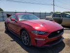 2019 FORD  MUSTANG