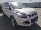 2014 FORD  ESCAPE