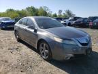 2010 ACURA  TL