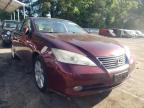 2008 LEXUS  ES350