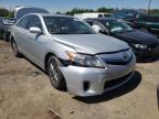 2010 TOYOTA  CAMRY