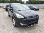 2013 FORD  ESCAPE