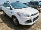 2014 FORD  ESCAPE