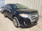 FORD EDGE 2011 foto
