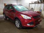 2014 FORD  ESCAPE