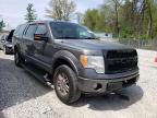 2009 FORD  F-150