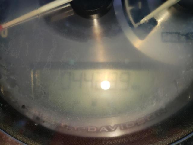 2010 HARLEY-DAVIDSON FLSTFB 1HD1JN512AB046160