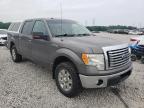 2010 FORD  F-150