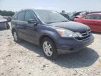 2010 HONDA  CRV