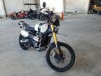 2019 TRIUMPH  SCRAMBLER