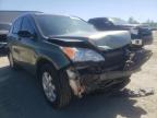 2008 HONDA  CRV