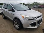 2013 FORD  ESCAPE