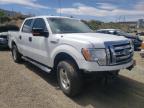 2011 FORD  F-150