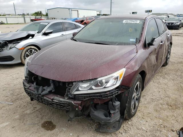 1HGCR2F31GA239045 Honda Accord Lx 2016. Фото: 1