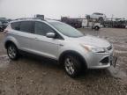 2013 FORD  ESCAPE