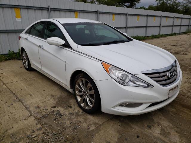 Hyundai Sonata 2013 White