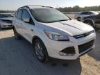 2013 FORD  ESCAPE